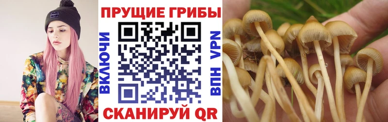 Галлюциногенные грибы ЛСД  Купить  Советск 